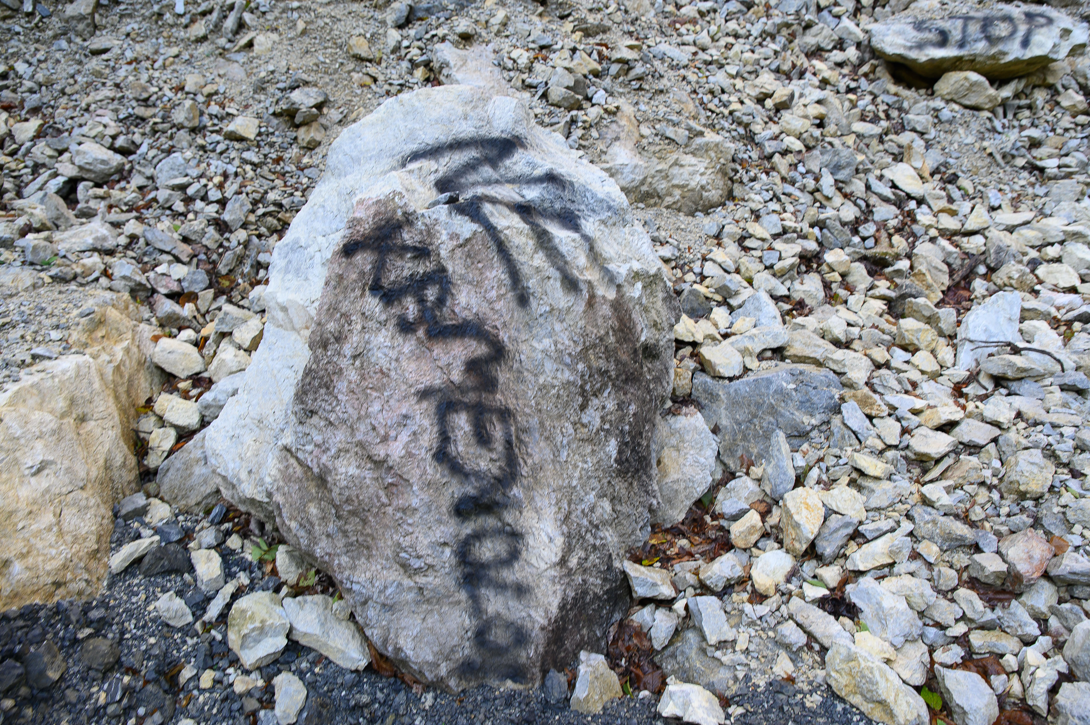 Osvanuli grafiti protiv kamenoloma